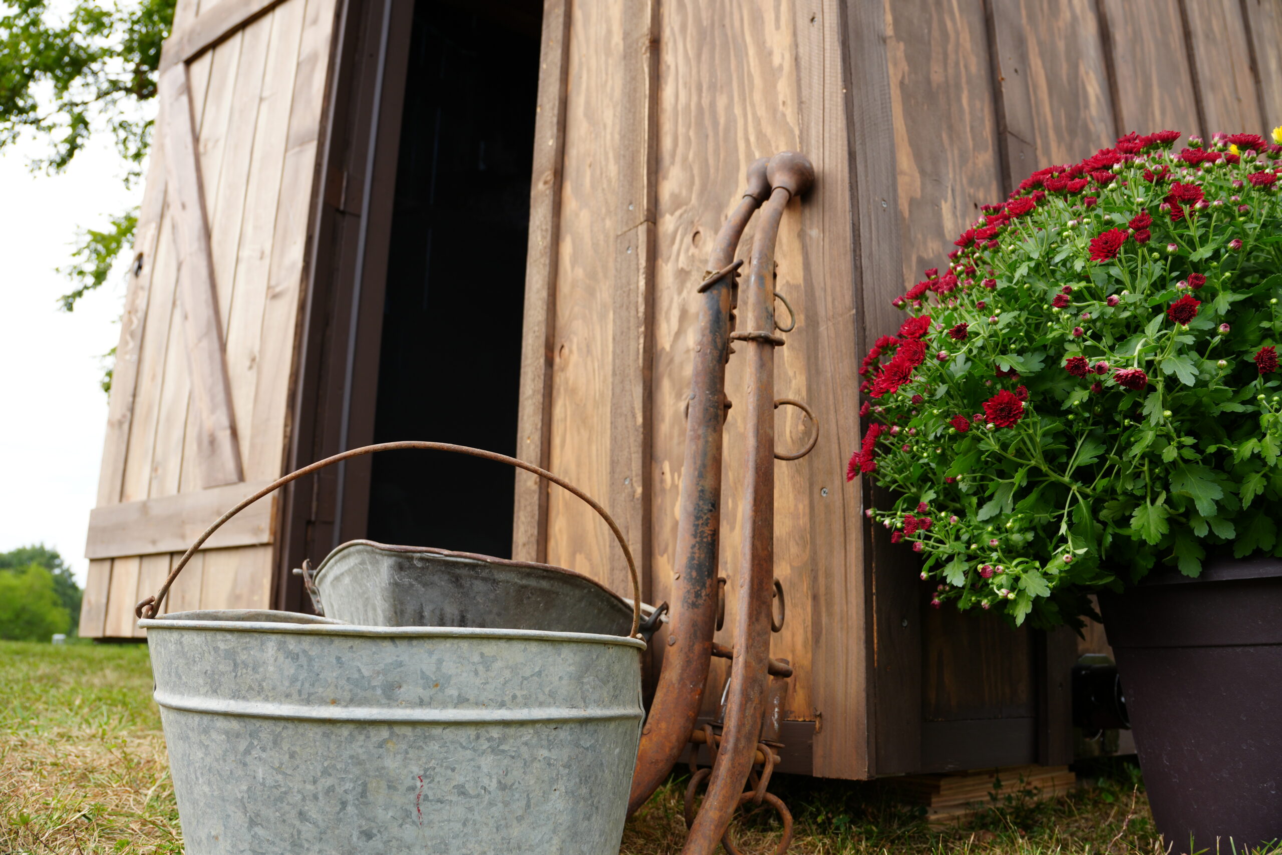 a metal bucked, horse harness parts, and a plant rest against the wooden wall of the Fort Conley Exhibit.