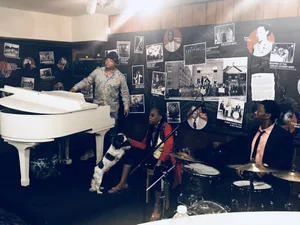 A group of jazz musicians plays in a small spaced surrounded by a wall with photos of other musicians. There is a white piano on the left, a drum set on the right, and a vocalist in the middle.